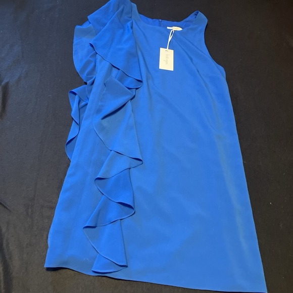 Britt Ryan New NWT Sleeveless Blue Shift Dress Sz M Ruffle Front Made In‎ USA - Picture 1 of 8